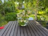 Bild 48