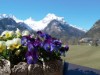Bild 19