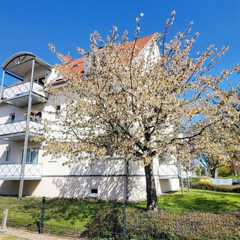 Ferielejlighed - 4 personer -  - Ulmenstr. 3 a - 18225 - Kühlungsborn
