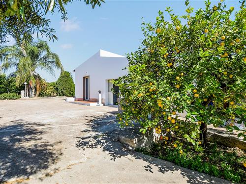 Sommerhus - 6 personer -  - Contrada Grotta Perciata snc - 96100 - Siracusa