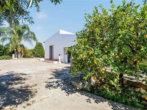 Feriehus - 6 personer -  - Contrada Grotta Perciata snc - 96100 - Siracusa