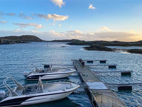 Holiday apartment - 2 persons -  - Offersøyvegen 311 Nr. - Offersøy/Hinnøya - 8412 - Offersøy