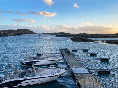 Ferielejlighed - 2 personer -  - Offersøyvegen 311 Nr. - Offersøy/Hinnøya - 8412 - Offersøy