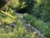 Billede 10