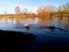 Bild 31 - Ude