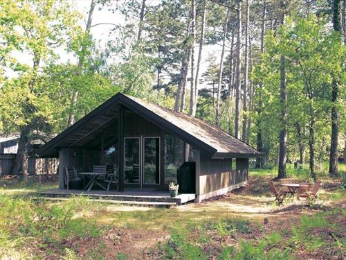 Sommerhus - 4 personer -  - Ranunkelvej - Bildsø Strand - 4200 - Slagelse