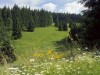 Bild 42