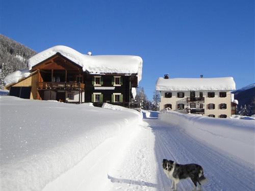 Feriehus - 6 personer -  - Hitzenbodenstrasse - 7277 - Davos Glaris