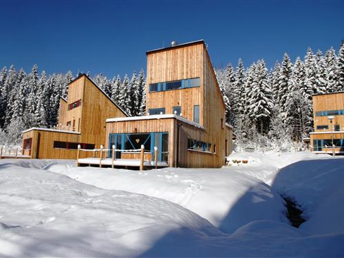 Sommerhus - 10 personer -  - 51246 - Harrachov