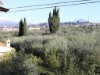Image 36 - Outside