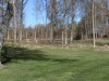 Billede 18 - Aktivitet