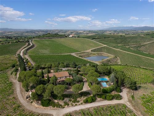 Feriehus - 12 personer -  - Grosseto - 58100