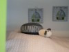 Bild 22