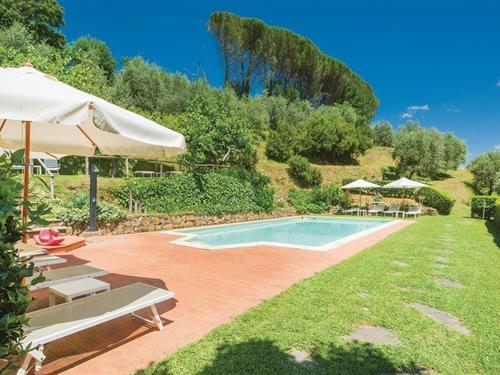 Holiday apartment - 4 persons -  - Via Orso e Terra Rossa - Pistoia - 51100 - Sarripoli Pt