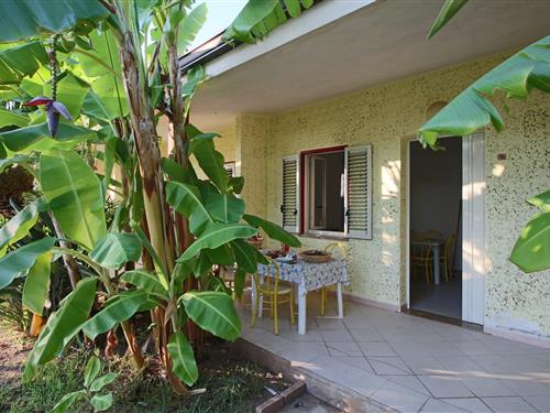 Holiday apartment - 4 persons -  - 89866 - Ricadi