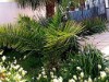 Image 28 - Outside