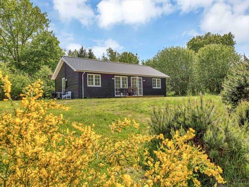 Sommerhus - 6 personer -  - Granvænget - Rørvig - Strandsiden - 4581 - Rørvig