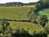 Image 14