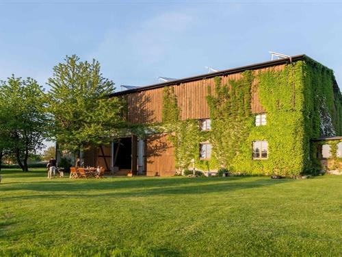 Feriehus - 8 personer -  - 23936 - Thorstorf