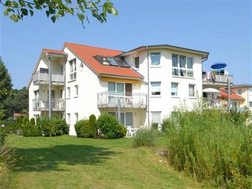 Holiday Home/Apartment - 4 persons -  - Ostseeallee - 23946 - Boltenhagen