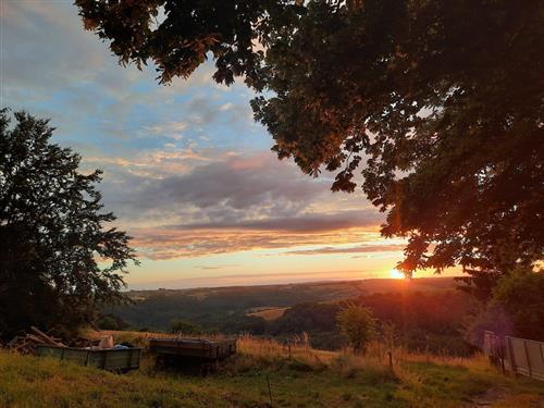 Ferielejlighed - 4 personer -  - Waldstr. - 66978 - Leimen