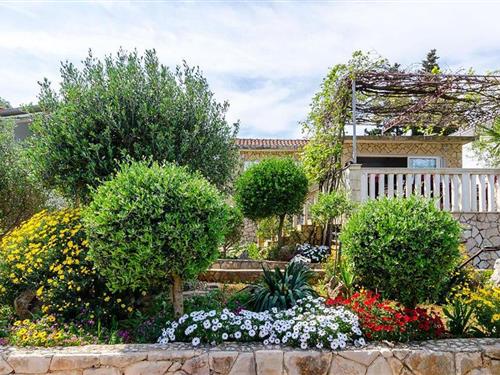 Fritidshus - 8 personer -  - Vrbanj - Hvar - Stari Grad - 21460 - Stari Grad