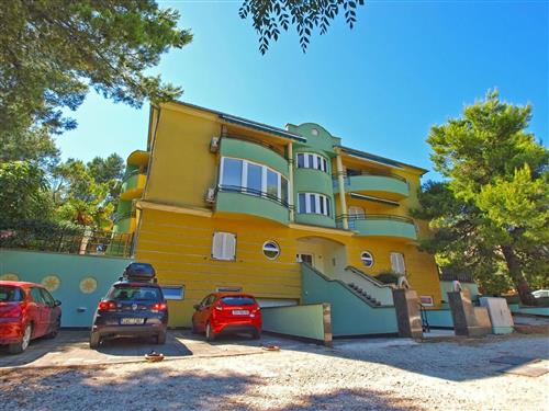 Holiday Home/Apartment - 4 persons -  - Tommaseova - 52100 - Pula