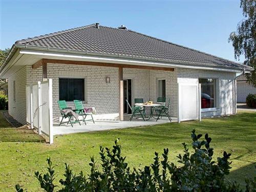 Ferielejlighed - 8 personer -  - An den Rehwiesen - 17449 - Karlshagen