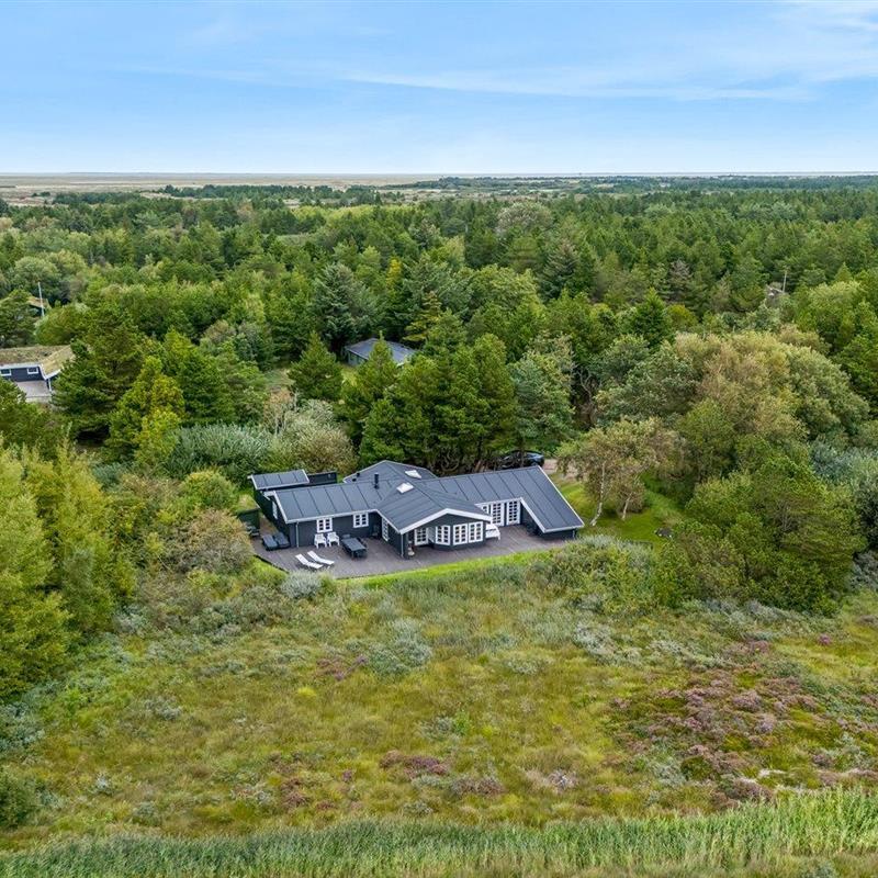 Sommerhus - 9 personer -  - Blåbærvej - Bolilmark - 6792 - Rømø