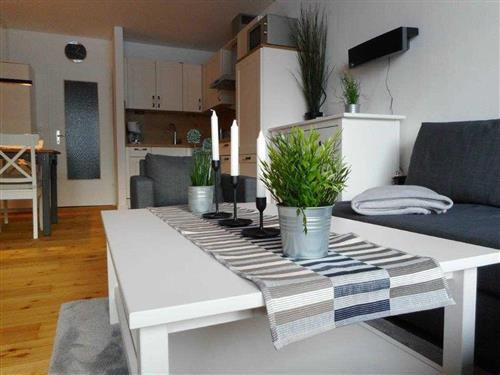 Sommerhus - 4 personer -  - Obere Grundstrasse - 37444 - Sankt Andreasberg