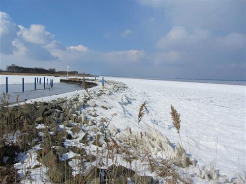 Ferielejlighed - 6 personer -  - Am Mühlenberg - 17375 - Mönkebude