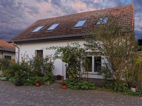 Ferienhaus - 3 Personen -  - Fischerweg - 17440 - Lütow / Neuendorf / Usedo