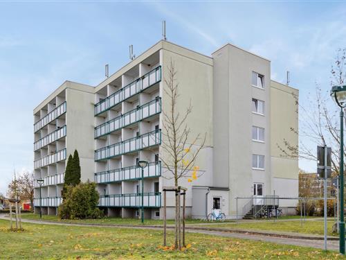 Ferieleilighet - 2 personer -  - Friedländer Landstrasse - 17389 - Anklam