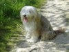 Bild 19