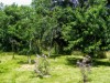 Bild 22