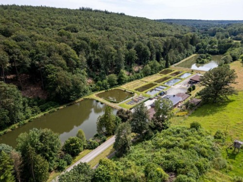 Ferieleilighet - 4 personer -  - Stelzenbachtal, Teichanlage Kern - 56412 - Oberelbert