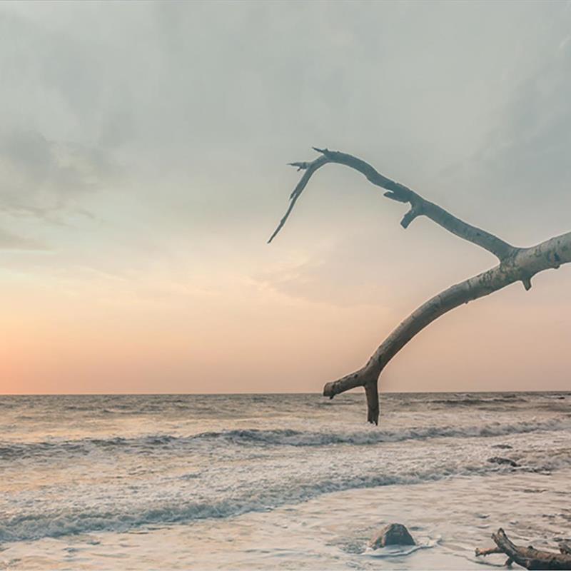 Ferielejlighed - 4 personer -  - Fereinresidenz - 23769 - Fehmarn Ot Staberdorf