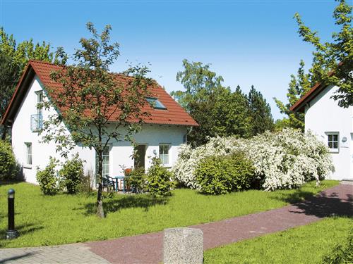 Sommerhus - 6 personer -  - Plau Am See - 17213