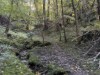 Bild 17
