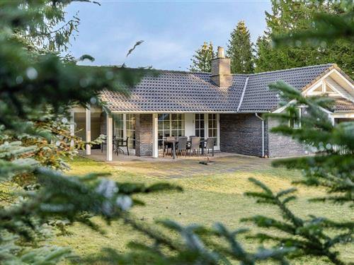 Holiday home - 8 persons -  - Vestskoven - Arrild - 6520 - Toftlund