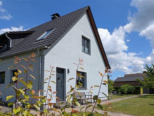 Ferielejlighed - 2 personer -  - Fritz-Reuter-Sraße - 17248 - Rechlin