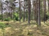 Billede 28 - Ude