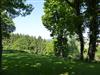 Bild 31