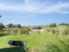Billede 26 - Grund