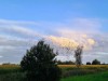 Bilde 26