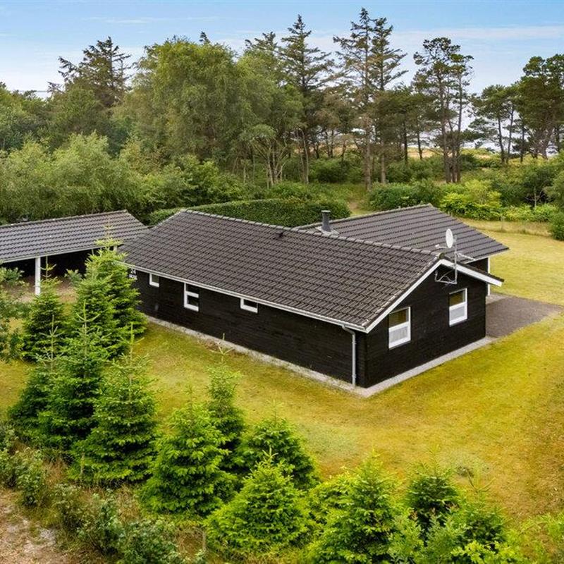 Ferienhaus - 6 Personen -  - Flyndervej - Skaven - 6880 - Tarm