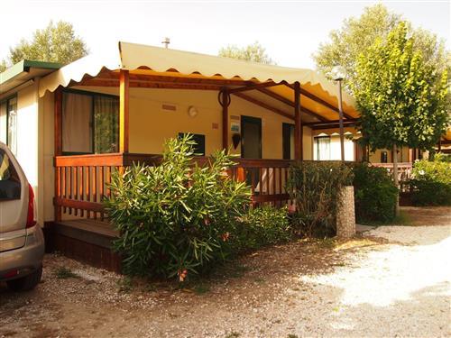 Ferielejlighed - 5 personer -  - Viareggio - 55049