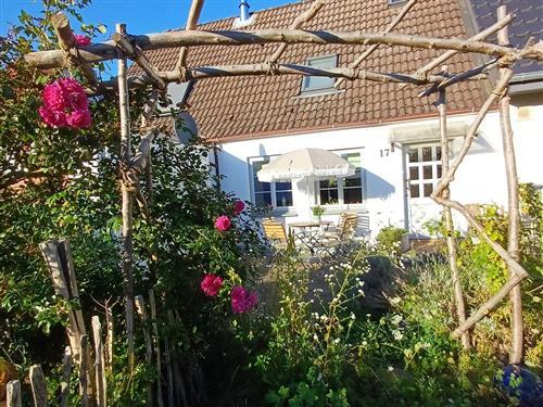 Ferielejlighed - 2 personer -  - Peter-Henlein-Str. - 23879 - Mölln