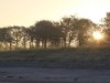 Bild 20