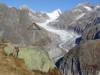 Bild 29